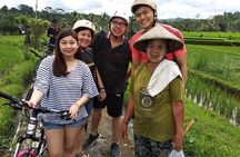 Ubud Cycling Tour