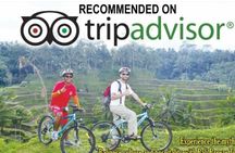 Ubud Cycling Tour