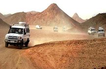 Jeep Desert Super Safari, Quad Bike, Camel Ride, Star Watching & Bedouin Dinner 
