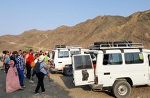 Jeep Desert Super Safari, Quad Bike, Camel Ride, Star Watching & Bedouin Dinner 