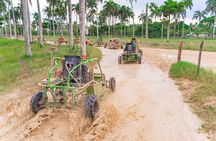 Dune Buggies and Cenote Cave Half Day Adventure 