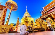 The Best City Tour View Points Wat Doi Suthep, Wat Chedi Luang and Wat Pha Lat 