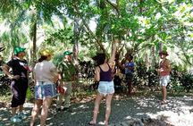 Mangrove Walk