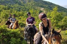 Amazing Horse Riding Experience at Vjosa National Park in Permet