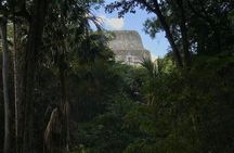 Tikal Private Tour from Belize Border