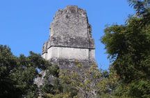 Tikal Private Tour from Belize Border