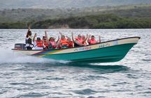 Full Day Tour to Paradise Island - Cayo Arena 