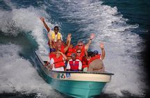 Full Day Tour to Paradise Island - Cayo Arena 