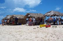 Full Day Tour to Paradise Island - Cayo Arena 