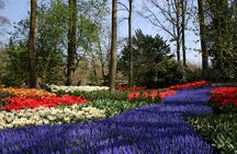 Private Day Trip to The Keukenhof Gardens and Zaanse Schans