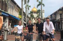Breezing Singapore Bike Tour