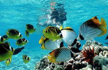 Bali Snorkeling Blue Lagoon and Tanjung Jepun All Included 