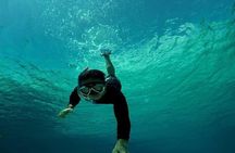 Bali Snorkeling Blue Lagoon and Tanjung Jepun All Included 