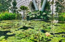 Singapore Changi Jewel Highlights Walking Tour 