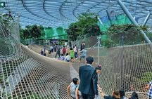 Singapore Changi Jewel Highlights Walking Tour 