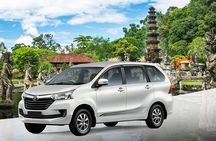 Bali Private Car and Customize Tour With English Speaking Driver