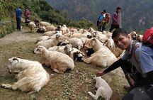 Annapurna: 2 Days 1 Night Poon Hill Trekking