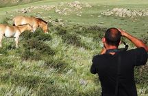 Central Mongolia tour 6 days