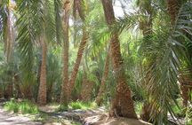 Egypt Countryside Trip