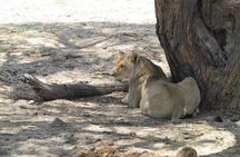 4-Day Discover Victoria Falls, Chobe and Hwange Park