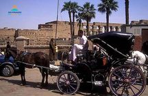 Luxor City Tour By Horse Carriage in Egypt