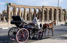 Luxor City Tour By Horse Carriage in Egypt