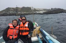 Penguins Watching-Navigation & HorseRide&Barbecue From VALPARAISO