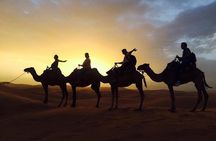 Overnight desert trips _ small Groups 