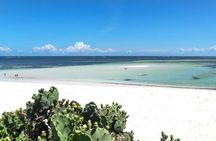 Mida Creek Safari Blue