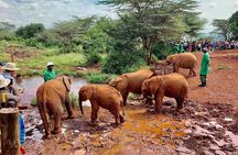 Nairobi city tour