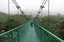 Rain Forest Monteverde,Hanging Bridges, Sloths,Birds Watching 