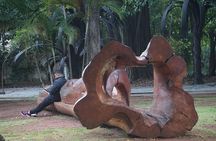 Arts & Design Private Tour in Sao Paulo