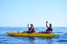 Cabo San Lucas Glass Bottom Kayak Tour and Snorkel at Two Bays