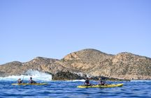 Cabo San Lucas Glass Bottom Kayak Tour and Snorkel at Two Bays