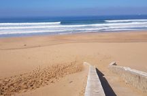 Camel ride experience &Sightseeing tour 