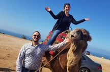 Camel ride experience &Sightseeing tour 