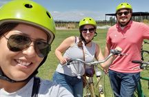 Bike, wines & lunch at Luján de Cuyo (Mendoza)