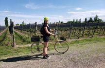 Bike, wines & lunch at Luján de Cuyo (Mendoza)