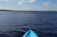 Guided Wildlife Eco Kayak Tour in New Smyrna Beach