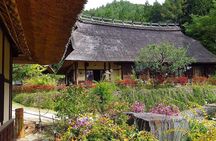 Experience the Stunning Nature of Mt.Fuji - Private Tour
