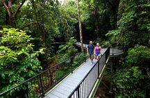 4 Day Cairns: Daintree Rainforest, Reef, Kuranda & Paronella Park