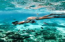 Bali Snorkeling Blue Lagoon and Tanjung Jepun All Included 
