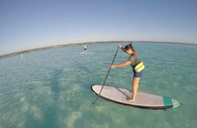 Sunrise Tour (Stand Up Paddle or Kayak)