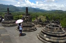 Borobudur Sunrise from Setumbu Hill and Great temples tour