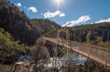 Launceston and Surroundings Day Tour Private Charter Service
