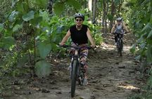 Jungle Bike Tour