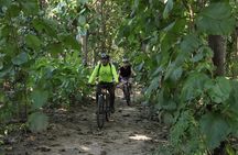 Jungle Bike Tour