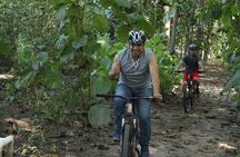 Jungle Bike Tour