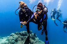 Discover Scuba Diving in Pemuteran - Diving Initiation in Bali (Menjangan Park)