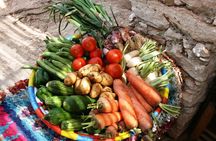 Berber Cooking Class at a Farm in the Countryside & shopping at a rural Souk.